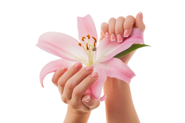 Kobiece Ręce Francuskim Manicure Kwiaty Lilii Izolowane Białym Tle — Zdjęcie stockowe