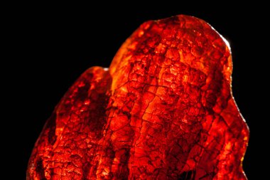 Siyah zemin üzerinde izole edilmiş ham kehribar taşının makro yakın çekimi.