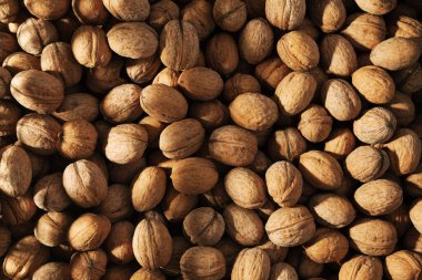 Kabuklu ceviz yığını, arka planda fındık yığını.