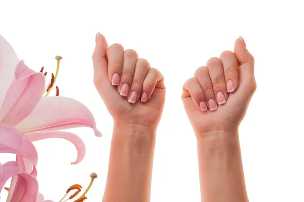 Francuski Manicure Kobiet Ręce Kwiaty Izolowane Białym Tle — Zdjęcie stockowe