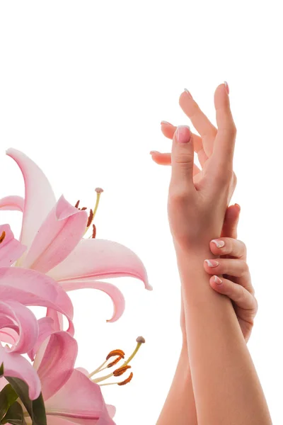 Mooie Vrouwelijke Handen Met Franse Manicure Roze Lelies Geïsoleerd Witte — Stockfoto