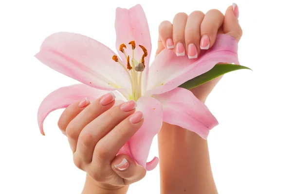 Samice Trzymają Liliowy Kwiat Różowe Płatki Francuski Manicure Pielęgnacji Ciała — Zdjęcie stockowe