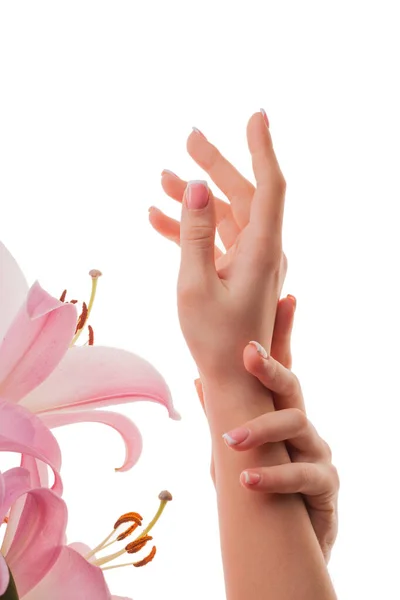 Francuski Manicure Kobieta Zadbane Ręce Kwiaty Lilii Izolowane Białym Tle — Zdjęcie stockowe