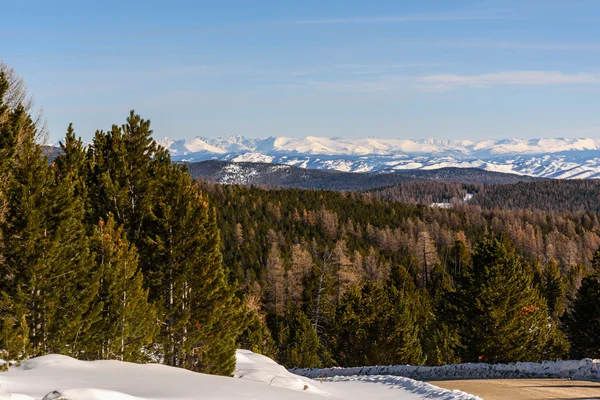 Montanha neve inverno floresta declive — Fotografia de Stock