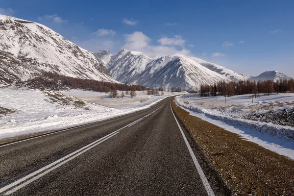 Gebirgsstraße Schnee Winter Bäume — Stockfoto