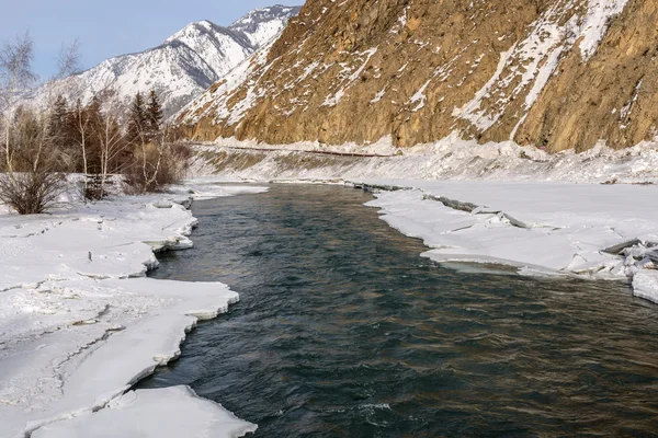 河山冰雪树 — 图库照片