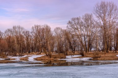 Buz nehir ve kar, çalılar, ağaçlar ve kuru ot suya yansıyan bir arka plan mavi gökyüzü ve bulutlar üzerinde üzerinde akşam bahar manzara