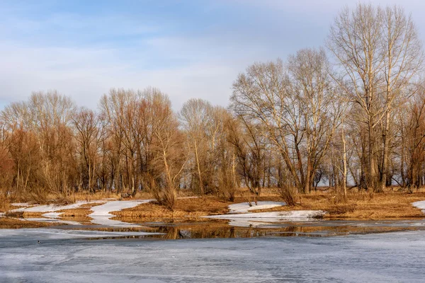 Fluss Schnee Reflexion Eis Frühling — Stockfoto