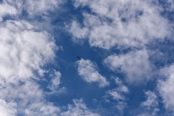 Фон небесных облаков — стоковое фото