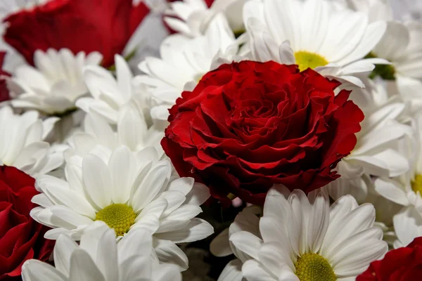 Róże chryzantemy kwiaty bukiet czerwony — Zdjęcie stockowe