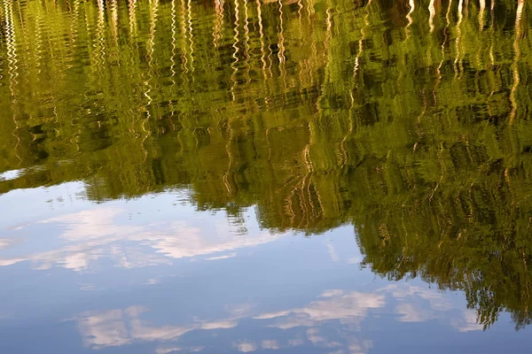 Abedul lago reflexiones cielo fondo — Foto de Stock