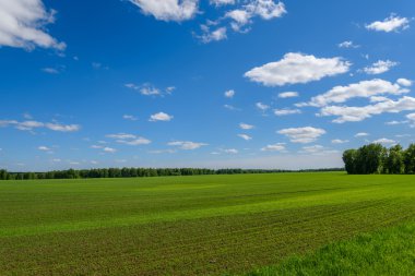 yulaf alan tarım Ekim