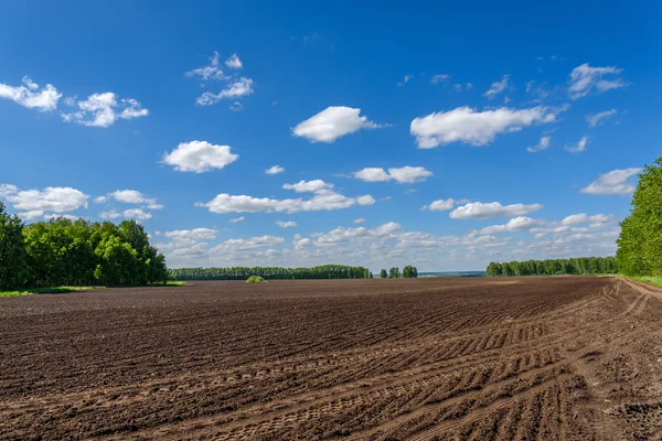 Campo aratura agricoltura cielo — Foto Stock