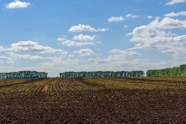 Campo aratura agricoltura cielo — Foto Stock