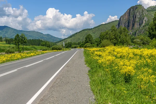 Weg bergen hemel asfalt bloemen — Stockfoto