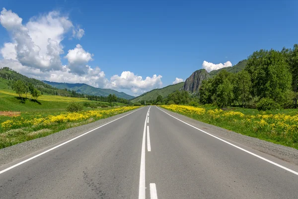 Weg bergen hemel asfalt bloemen — Stockfoto