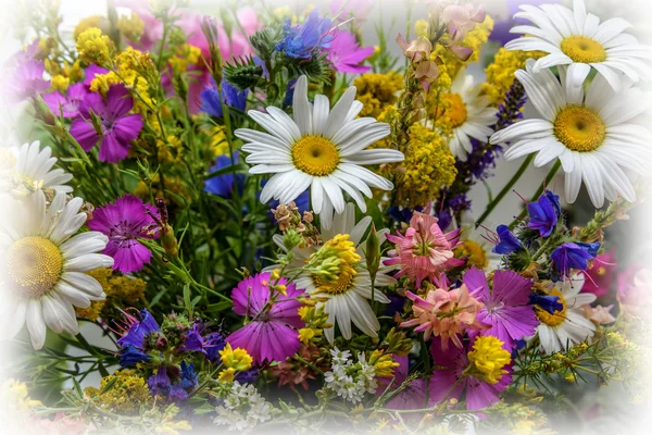 Dzikie kwiaty bukiet tło — Zdjęcie stockowe