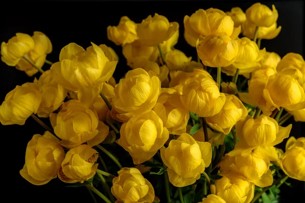 Beautiful Bright Floral Background Bouquet Yellow Wildflowers Trollius Europaeus Closeup — Stock Photo, Image