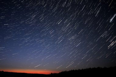 yıldızlı gökyüzü orman parçaları