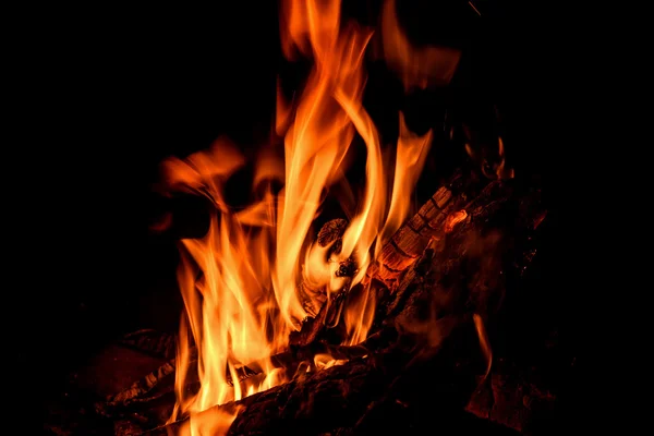 Fire flame bonfire spurts — Stock Photo, Image