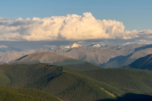 Bjergskyer himmel skov toppe - Stock-foto