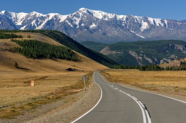 yol dağlar orman kar asfalt 