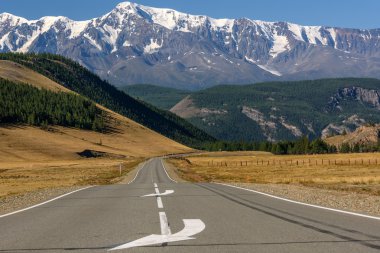 yol dağlar orman kar asfalt 