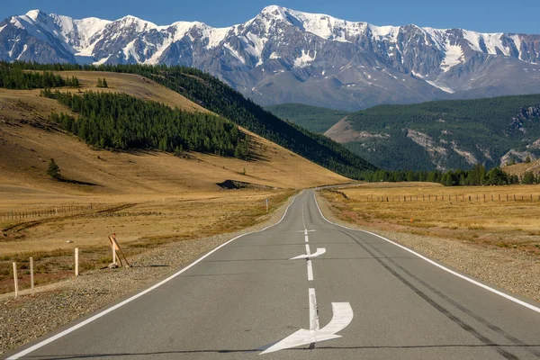 Road mountains asphalt forest snow — Stock Photo, Image