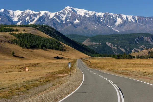 Road mountains asphalt forest snow — Stock Photo, Image