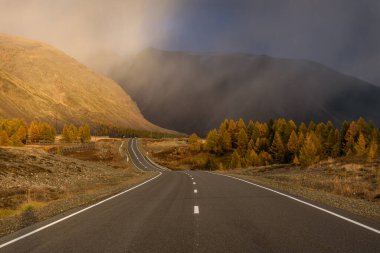 Asfalt yollu renkli sonbahar manzarası, yol kenarındaki altın ağaçlar, dağlar, güzel akşam güneşi ışığı ve kar ve yağmurdan oluşan yumuşak sis.