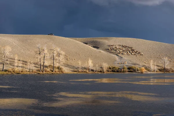 Incredibile Vista Autunnale Lago Con Acqua Scura Pioppi Con Foglie — Foto Stock