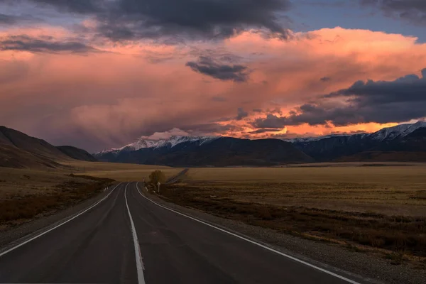 Amazing Autumn View Asphalt Road Steppe Trees Roadside Snowy Mountains — Stock Photo, Image