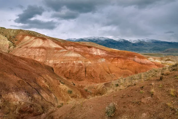 Renkli Dağlarla Dolu Bozkır Çöl Manzarası Yerdeki Çatlaklar Karlı Dağların — Stok fotoğraf