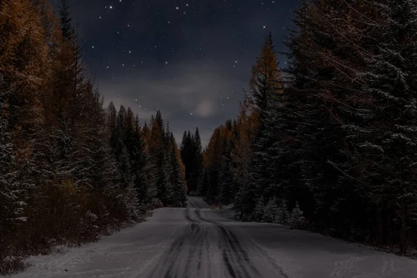 Scenic night landscape with a snowy road through the autumn forest with tall fir trees and yellow larch trees in the moonlight against the background of a starry sky with clouds