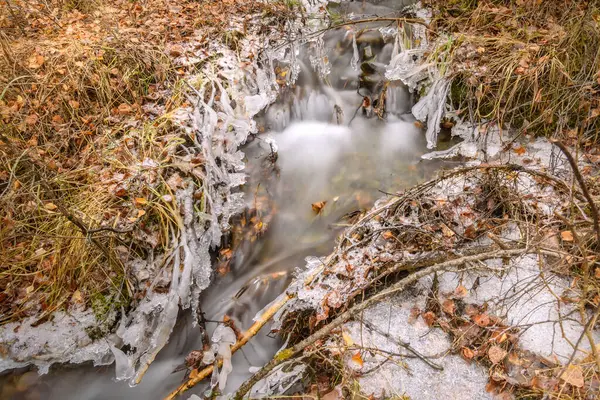 Peksi Suyu Buzu Dalları Sonbahar Yaprakları Üzerinde Buz Saçakları Olan — Stok fotoğraf