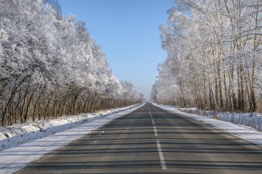 Düz asfalt yolu, gölgeler, kıpkırmızı ağaçlar ve mavi gökyüzüne karşı yol kenarında kar yağışı.