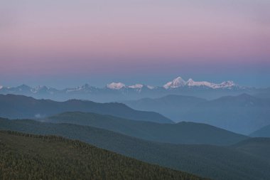 Gökyüzünde Venüs 'ün pembe kuşağı karlı dağların tepelerinde ve şafak vakti ormanla kaplı dağların yamaçlarında inanılmaz bir manzara. Altai, Rusya