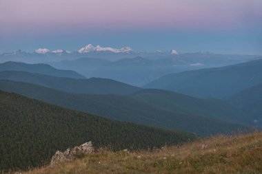 Gökyüzünde Venüs 'ün pembe kuşağı karlı dağların tepelerinde ve şafak vakti ormanla kaplı dağların yamaçlarında inanılmaz bir manzara. Altai, Rusya