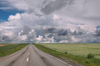 Karabuğday tarlaları ve bulutlu gökyüzünde güzel bulutlar arasında asfalt yolu olan renkli kırsal yaz manzarası
