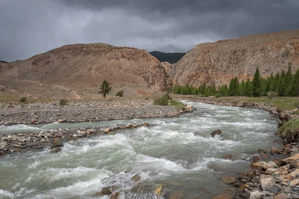 Malowniczy Letni Widok Krętą Górską Rzeką Górami Zielonymi Modrzewiami Świetle — Zdjęcie stockowe