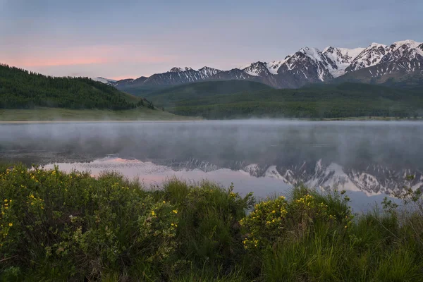 Verbazingwekkende Delicate Roze Dageraad Bergen Bedekt Met Sneeuw Bos Mist — Stockfoto