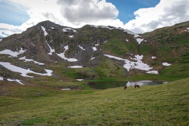 Muhteşem bir yaz manzarası, güzel bir alp gölü, yeşil çimenler, yamaçlarda kar ve göl kenarında otlayan iki kahverengi at. Altai, Rusya