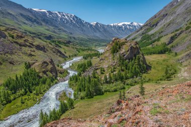 Kıvrımlı bir nehir, toprak yol, karlı dağlar ve mavi gökyüzüne karşı yeşil ağaçlarla muhteşem bir yaz manzarası. Altai, Rusya