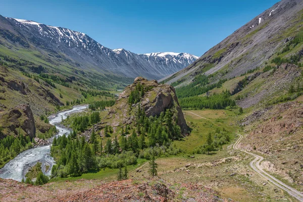 令人惊奇的夏景 一条蜿蜒的河流 泥泞的道路 山坡上的绿树映衬着蓝天 俄罗斯阿尔泰 — 图库照片