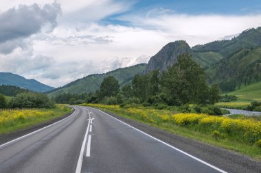 Dağlarda asfalt bir yol, bir nehir, ağaçlar ve yol kenarında mavi gökyüzü ve bulutların önünde parlak sarı çiçekler. Altai, Rusya