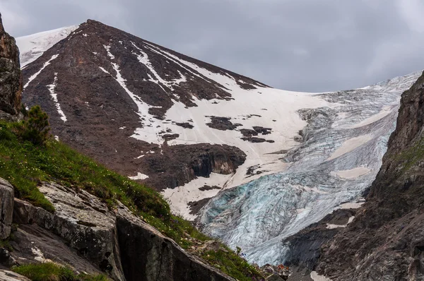 Montaña nieve glaciar flores — Foto de Stock