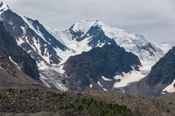 Montaña nieve glaciar rocas — Foto de Stock