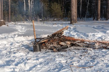 Şenlik ateşi yakacak odun orman kış