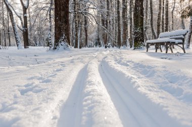 Kış park iz tezgah
