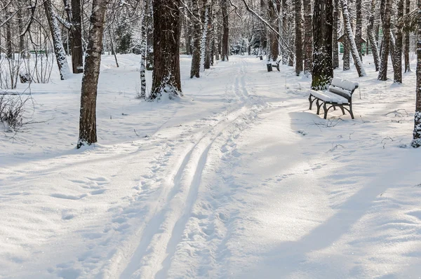 Winter park trail bench — Stock Photo, Image